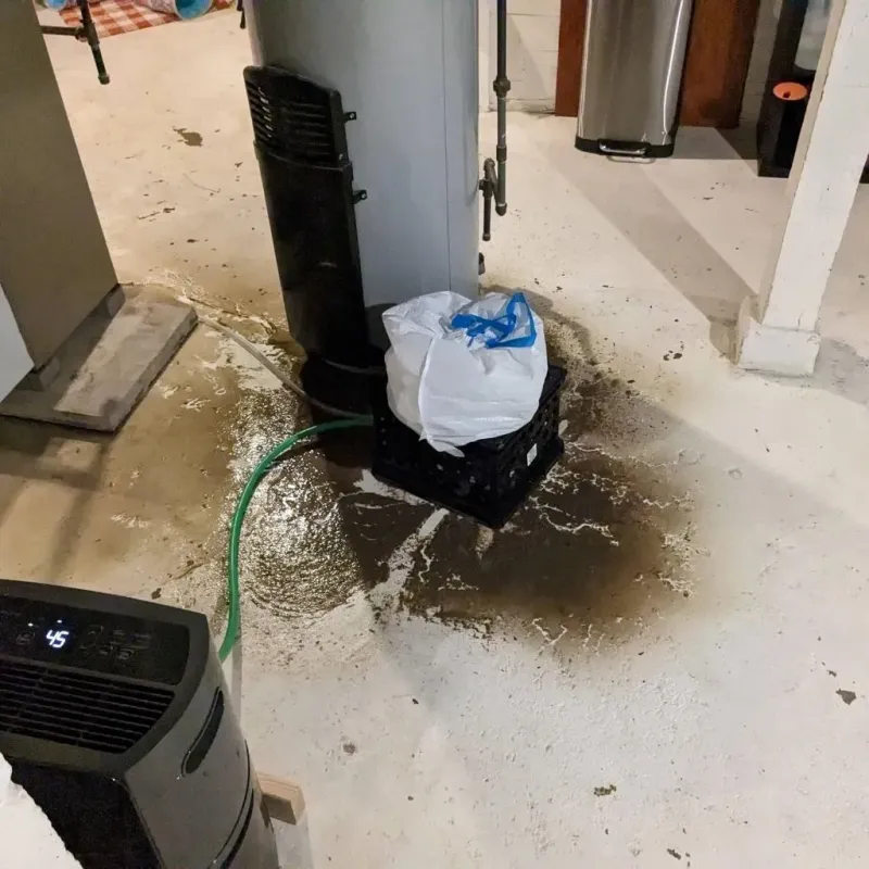 Sewage Backup Cleanup Service in Mills County, IA